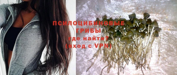 spice Бугульма