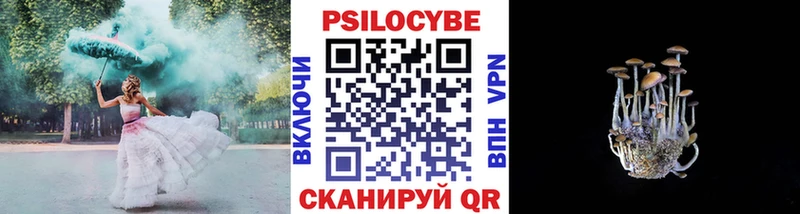KRAKEN ССЫЛКА  купить наркотик  Касимов  Псилоцибиновые грибы Psilocybe 